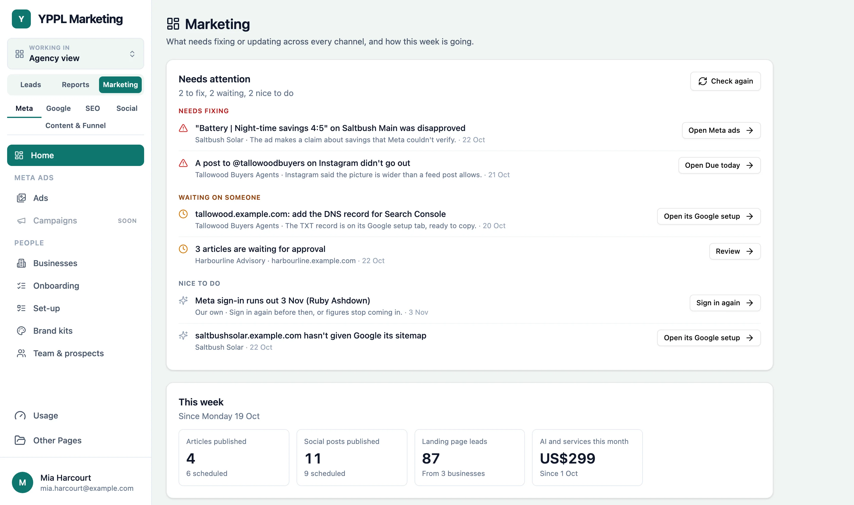 The Marketing home: a Needs attention list with a disapproved Meta ad, a social post that didn't go out, articles waiting for approval and set-up reminders, above This week's tiles for articles, social posts, Meta spend, landing page leads and AI costs.