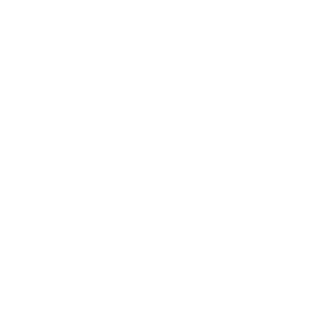 Investment property